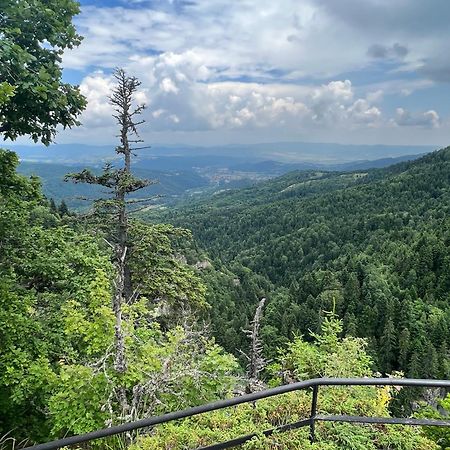 Arboro Borovets Gardens E68 Leilighet Eksteriør bilde