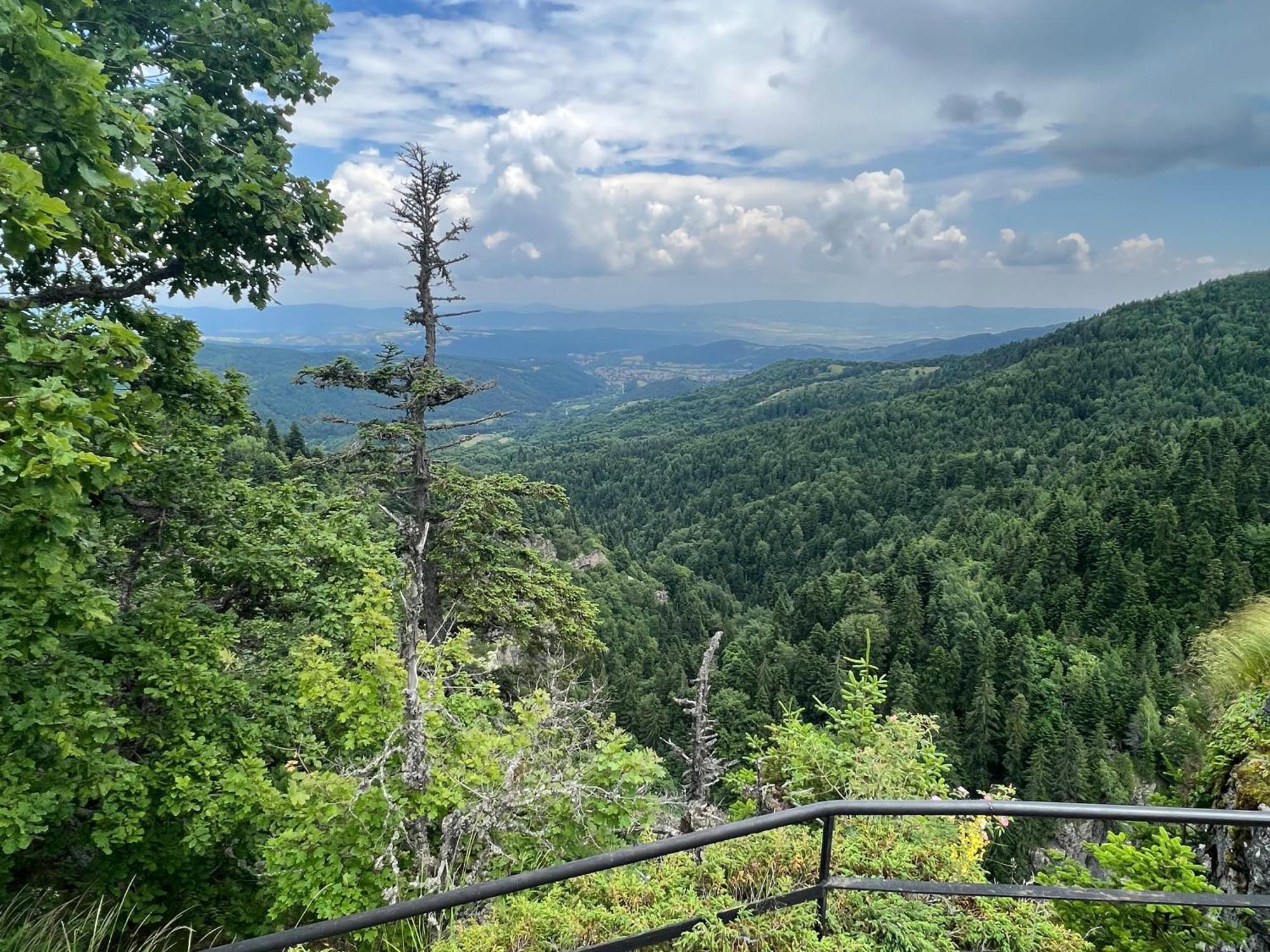 Arboro Borovets Gardens E68 Leilighet Eksteriør bilde