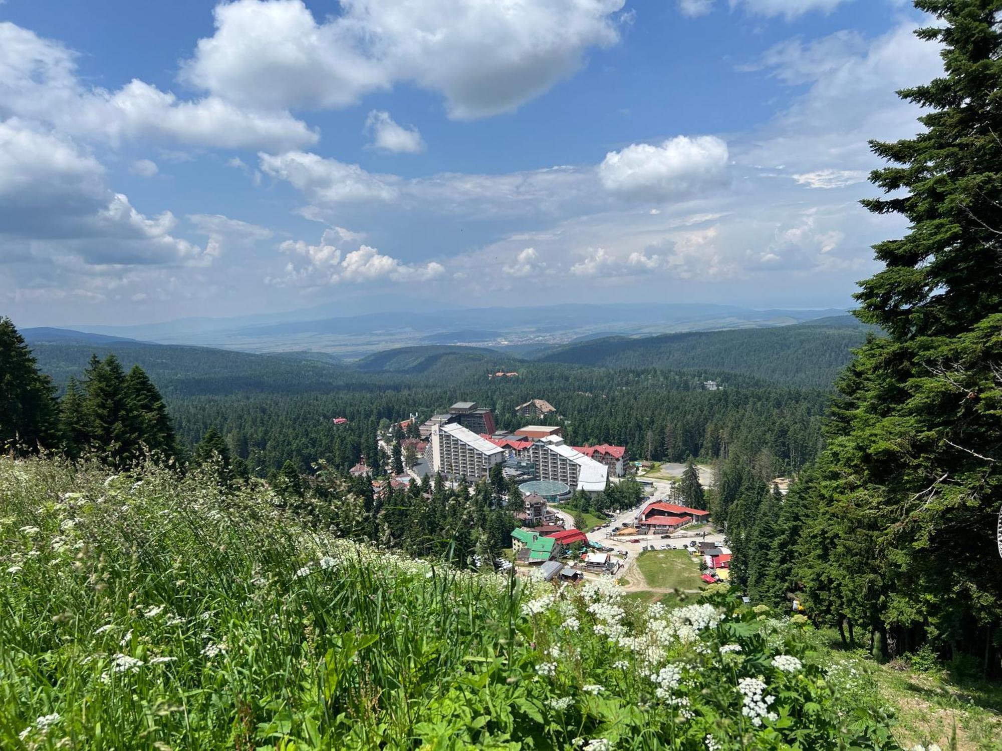 Arboro Borovets Gardens E68 Leilighet Eksteriør bilde